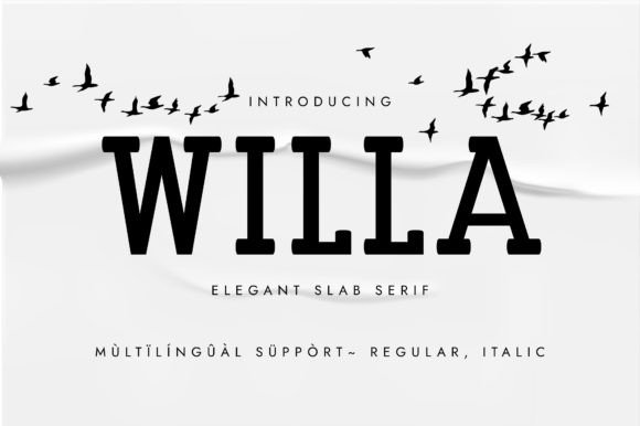 Discovering Willa: The Elegant and Minimalist Slab Serif Typeface for Modern Design